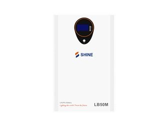 LB50MH wand gemonteerd lithiumbatterij 51.2V 100Ah